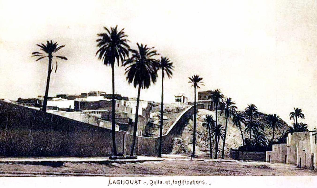 Laghouat - Dalla et Fortifications.jpg